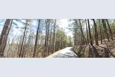 6 West Dry Pond Road LOT #6 WEST, Ranger, GA 30734 - Photo 4