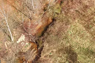 1429 Crumps Bridge Rd, Martin, GA 30557 - Photo 54