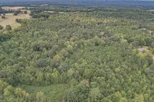 0 Roopville Veal Rd, Roopville, GA 30170 - Photo 1