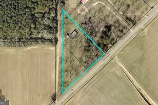 575 Grovania Rd, Hawkinsville, GA 31036 - Photo 36