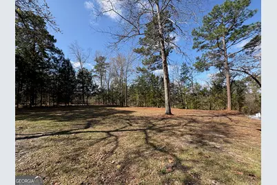 319 Greenbriar Drive, Byron, GA 31008 - Photo 44