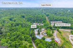683 Grant St, Clarkesville, GA 30523 - Photo 30