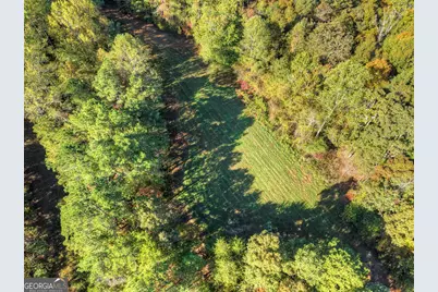 523 Long Branch Road, Ranger, GA 30734 - Photo 4