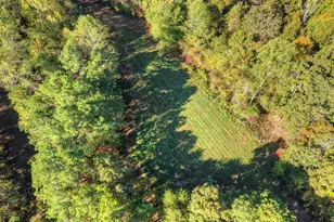 523 Long Branch Rd, Ranger, GA 30734 - Photo 4