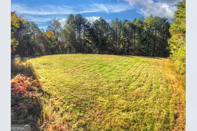 523 Long Branch Road, Ranger, GA 30734 - Photo 10