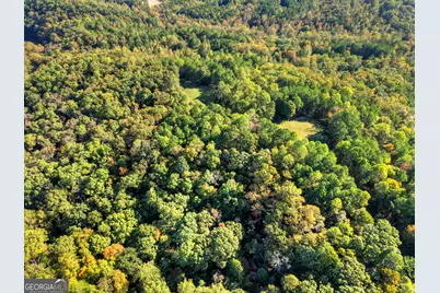 523 Long Branch Road, Ranger, GA 30734 - Photo 52