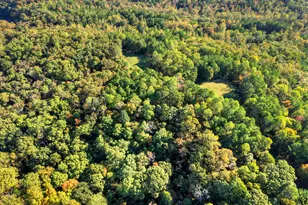 523 Long Branch Rd, Ranger, GA 30734 - Photo 52