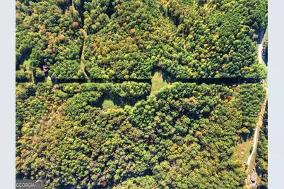 523 Long Branch Road, Ranger, GA 30734 - Photo 12