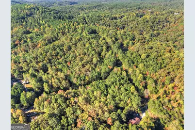 523 Long Branch Road, Ranger, GA 30734 - Photo 54