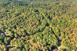 523 Long Branch Rd, Ranger, GA 30734 - Photo 54