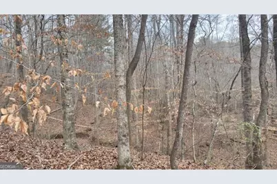 00 Lot2 N. Helton Road, Winston, GA 30187 - Photo 6