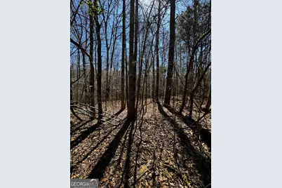 250 Glenn Mill Farm Road, Franklin, GA 30217 - Photo 12