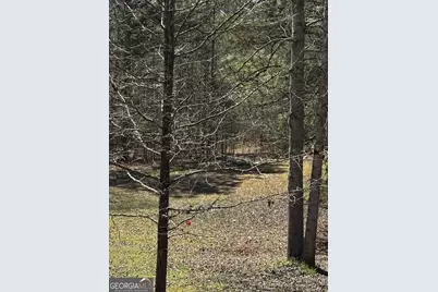 250 Glenn Mill Farm Road, Franklin, GA 30217 - Photo 6