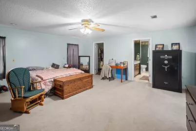195 Mollie Bowen Lane, Cobbtown, GA 30420 - Photo 10