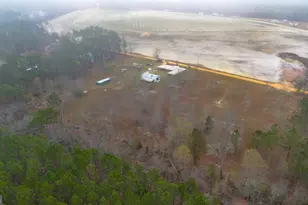 195 Mollie Bowen Ln, Cobbtown, GA 30420 - Photo 30