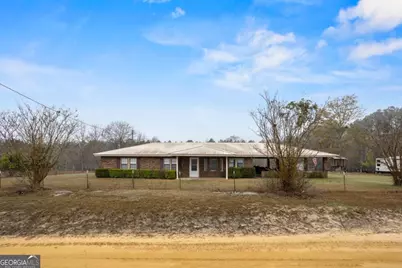 195 Mollie Bowen Lane, Cobbtown, GA 30420 - Photo 2