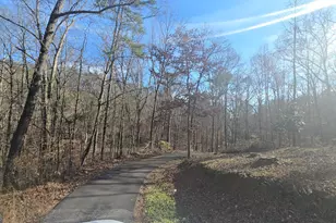 124 Puckett Rd SE, Emerson, GA 30137 - Photo 14