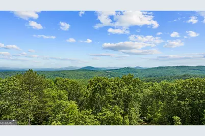 769 Voylestown Road, Morganton, GA 30560 - Photo 4