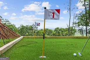 769 Voylestown Rd, Morganton, GA 30560 - Photo 34