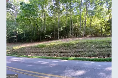 0 Hicks Gap Road, Blairsville, GA 30512 - Photo 1