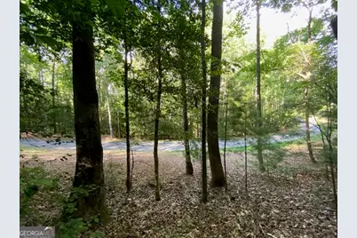 0 Hicks Gap Road, Blairsville, GA 30512 - Photo 4