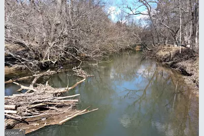 1248 Sunset Road, Epworth, GA 30541 - Photo 68