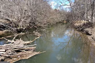 1248 Sunset Rd, Epworth, GA 30541 - Photo 68