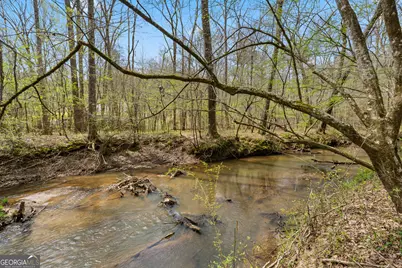 1229 Boggus Road, Franklin, GA 30217 - Photo 58