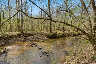 1229 Boggus Rd, Franklin, GA 30217 - Photo 58