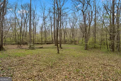 1229 Boggus Road, Franklin, GA 30217 - Photo 54