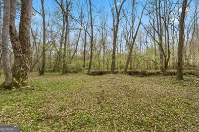 1229 Boggus Road, Franklin, GA 30217 - Photo 56