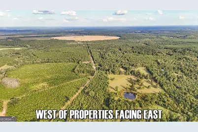 5.04+/- Acres Joyner Oglesby Road LOT #1, Sardis, GA 30456 - Photo 8