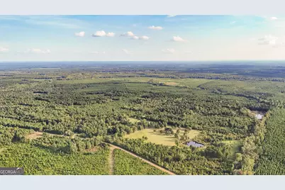 5.04+/- Acres Joyner Oglesby Road LOT #1, Sardis, GA 30456 - Photo 18