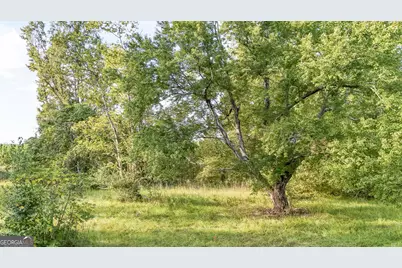 5.04+/- Acres Joyner Oglesby Road LOT #1, Sardis, GA 30456 - Photo 12