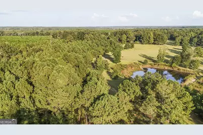 5.04+/- Acres Joyner Oglesby Road LOT #1, Sardis, GA 30456 - Photo 6