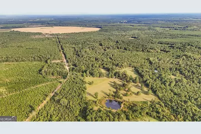5.04+/- Acres Joyner Oglesby Road LOT #1, Sardis, GA 30456 - Photo 16