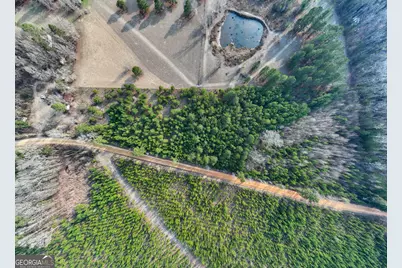 5.26+/- Acres Joyner Oglesby Road LOT #2, Sardis, GA 30456 - Photo 4