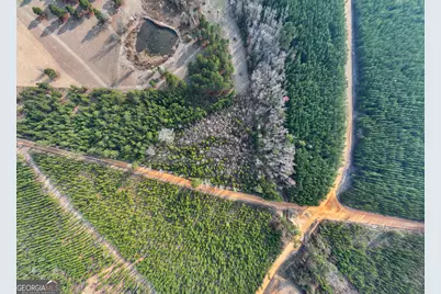 5.16+/- Acres Joyner Oglesby Road LOT #3, Sardis, GA 30456 - Photo 2