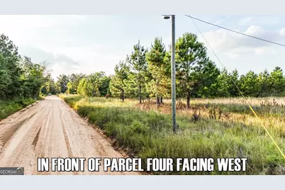 5.22+/- Acres Joyner Oglesby Road LOT #4, Sardis, GA 30456 - Photo 10