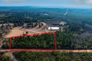 5 22+/- Acres Joyner Oglesby Rd, Sardis, GA 30456 - Photo 1