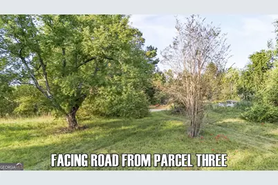 5.22+/- Acres Joyner Oglesby Road LOT #4, Sardis, GA 30456 - Photo 12