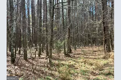 0 Popham Road #TRACT 3, Taylorsville, GA 30178 - Photo 20