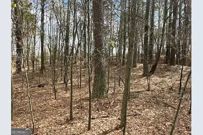 0 Popham Road #TRACT 3, Taylorsville, GA 30178 - Photo 6