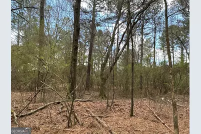 0 Popham Road #TRACT 3, Taylorsville, GA 30178 - Photo 22