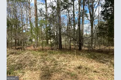 0 Popham Road #TRACT 3, Taylorsville, GA 30178 - Photo 24