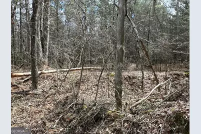 0 Popham Road #TRACT 3, Taylorsville, GA 30178 - Photo 14