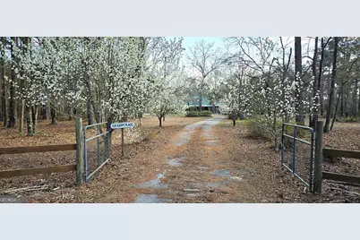 1851 I G Lanier Road, Pembroke, GA 31321 - Photo 1