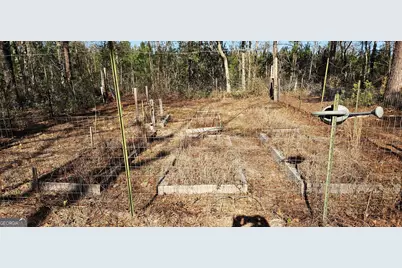 1851 I G Lanier Road, Pembroke, GA 31321 - Photo 80