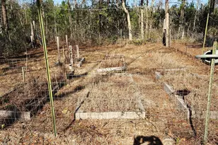 1851 I G Lanier Rd, Pembroke, GA 31321 - Photo 80