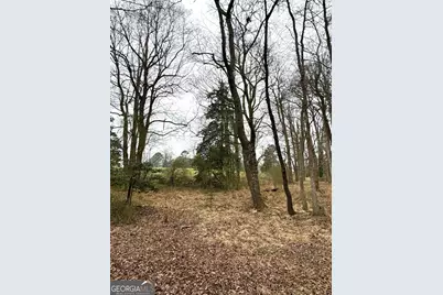 316 Bar Rod Road, Demorest, GA 30535 - Photo 6